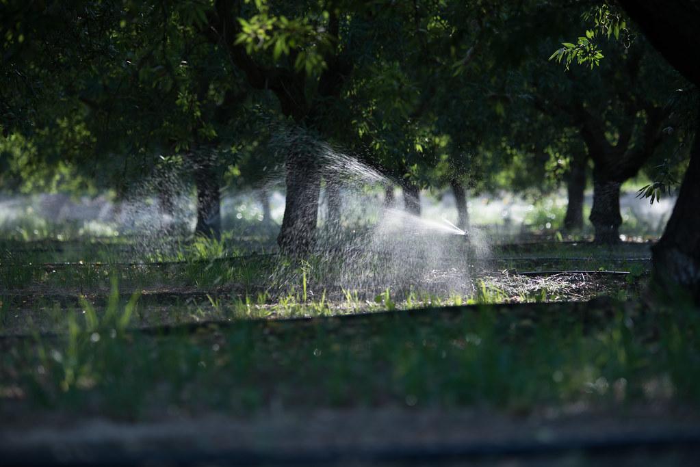 Optimizing​ Watering ⁣Efficiency with ⁣Your Soaker Hose