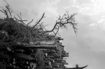 How to Use a Wood Burning Fireplace