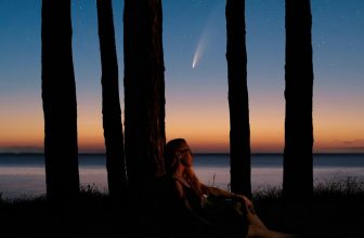 How to Use Bit Comet