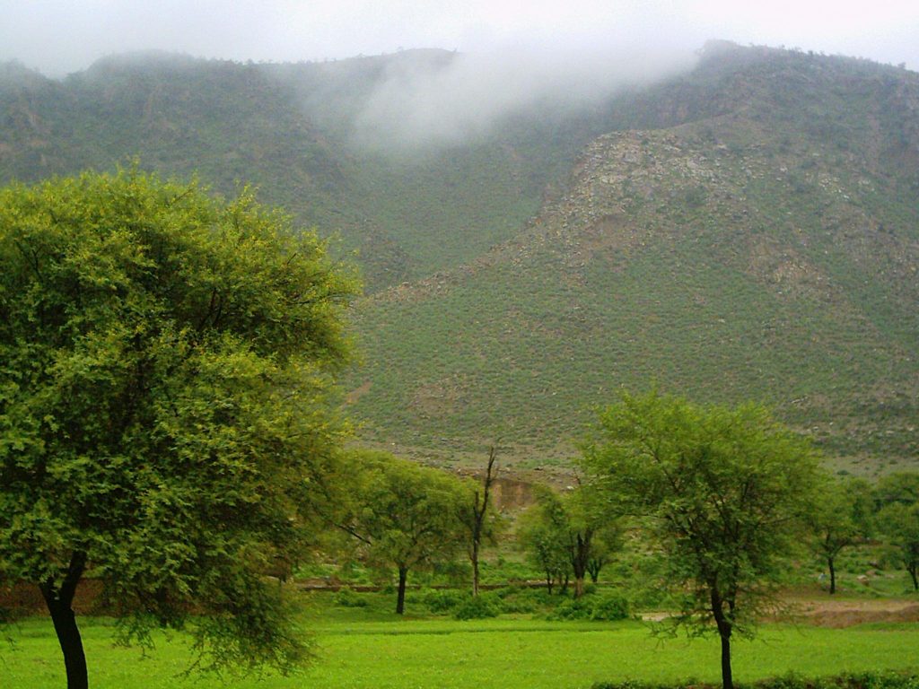 How to Use a Thill Slip Float How 2 Use