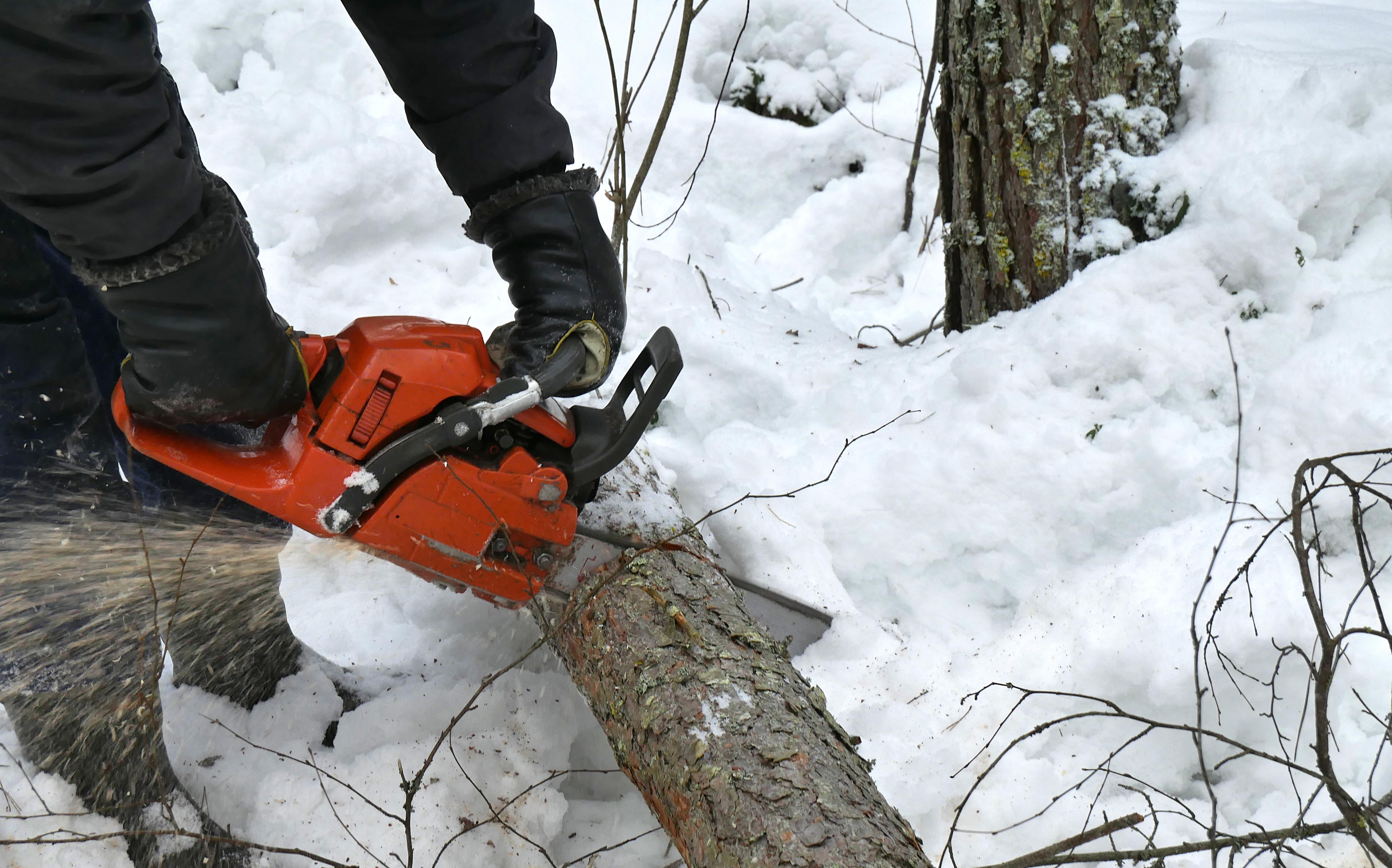 Choosing the Right⁤ Chainsaw for the ⁢Job